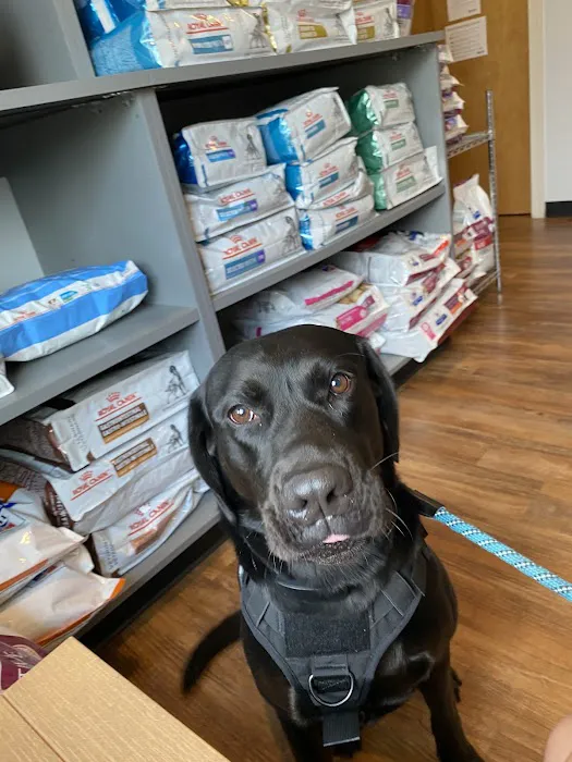 Banfield Pet Hospital Picture 3