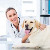 PetSmart Veterinary Services - Southern Pines ico