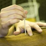 De-Qi Holistics