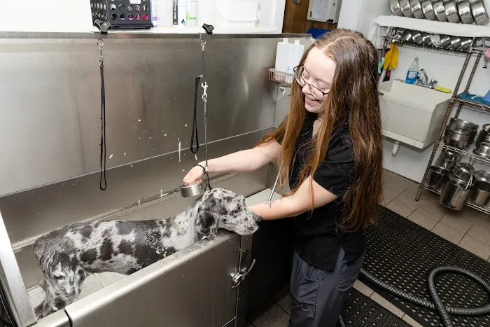 Longleaf Animal Hospital and Pet Boutique Picture 3