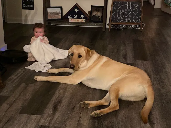 Longleaf Animal Hospital and Pet Boutique Picture 5