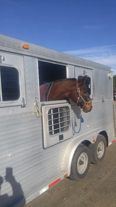 Southern Pines Equine Associates Picture 1