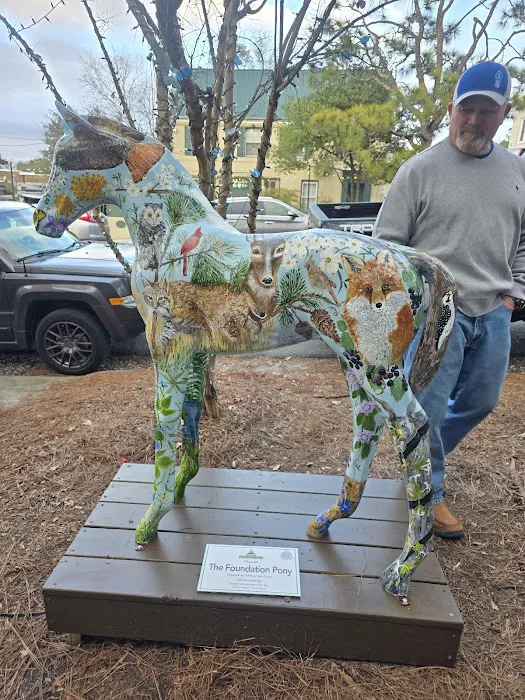 Southern Pines Equine Associates Picture 4