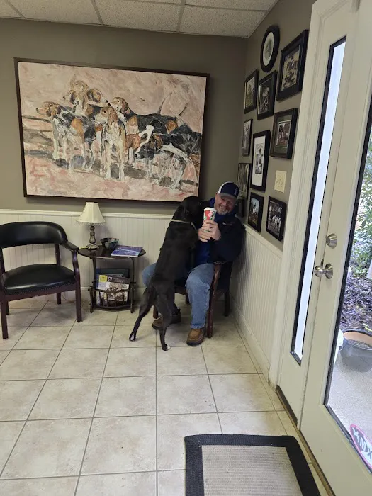 Southern Pines Equine Associates Picture 2