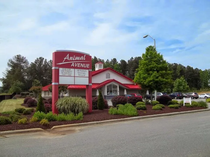 All Animals Veterinary Hospital Picture 10