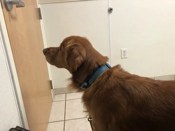 All Animals Veterinary Hospital Picture 9