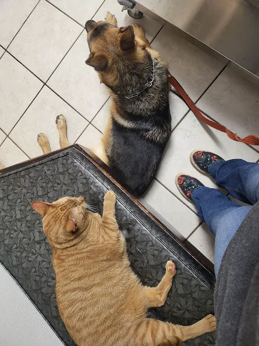 All Animals Veterinary Hospital Picture 7