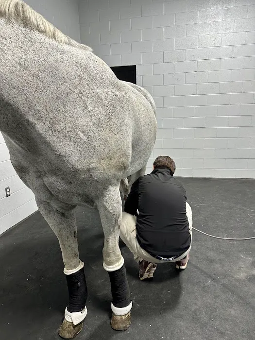 Performance Equine Mobile Veterinary Services PLLC Picture 4
