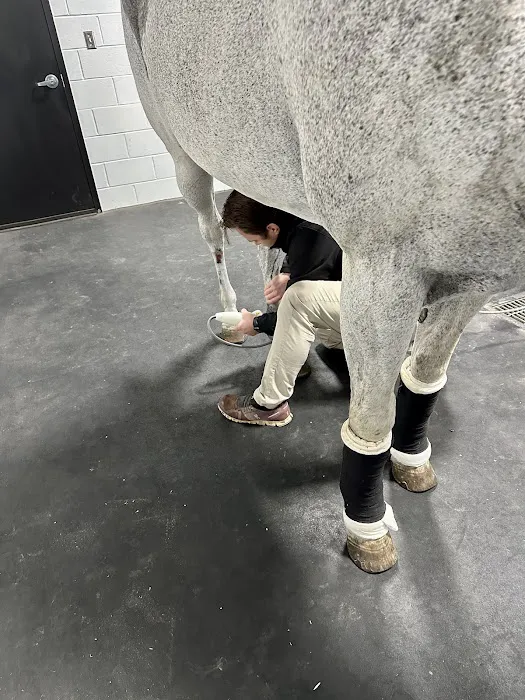 Performance Equine Mobile Veterinary Services PLLC Picture 1