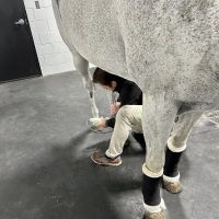 Performance Equine Mobile Veterinary Services PLLC ico