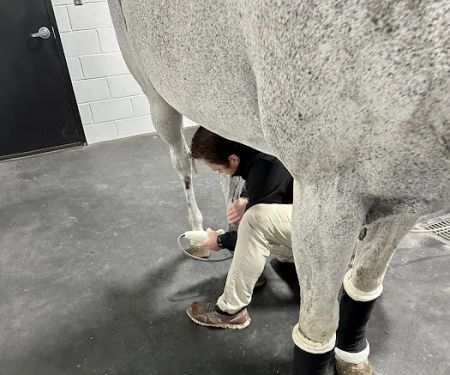 Performance Equine Mobile Veterinary Services PLLC