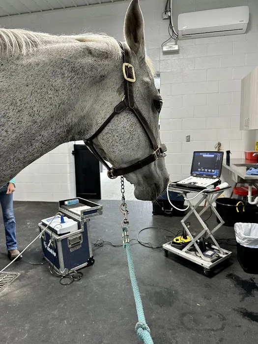 Performance Equine Mobile Veterinary Services PLLC Picture 2