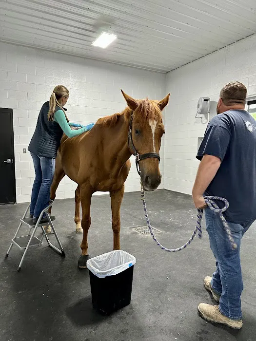 Performance Equine Mobile Veterinary Services PLLC Picture 3