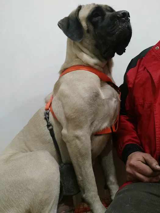 Appalachian Animal Hospital Picture 1