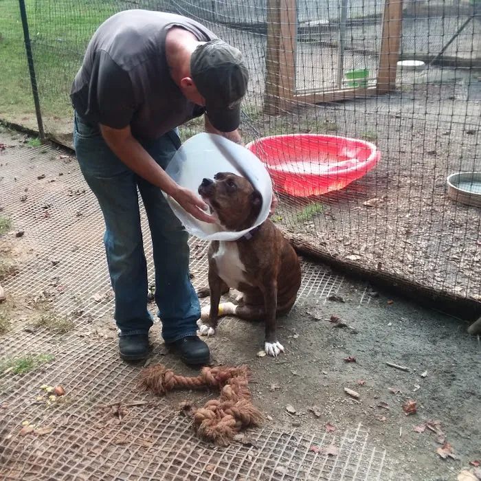 Appalachian Animal Hospital Picture 10