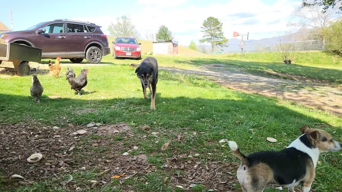 Appalachian Animal Hospital Picture 8