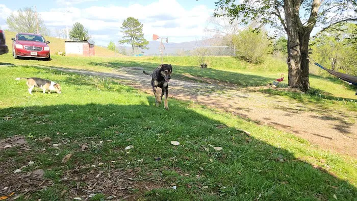 Appalachian Animal Hospital Picture 6