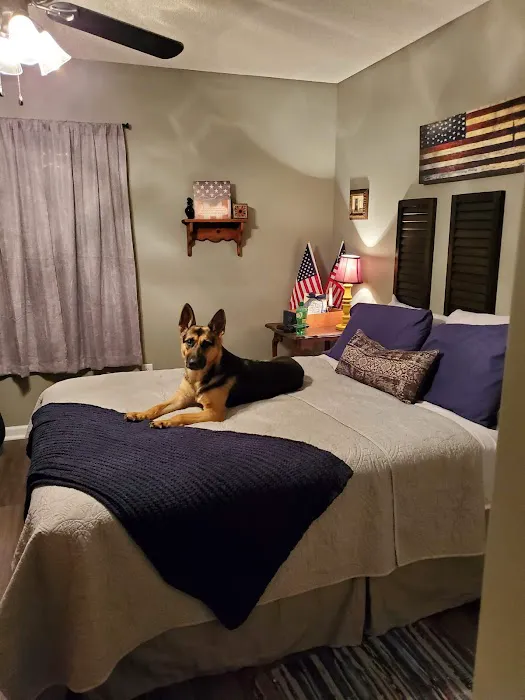 Allen Animal Hospital Picture 6