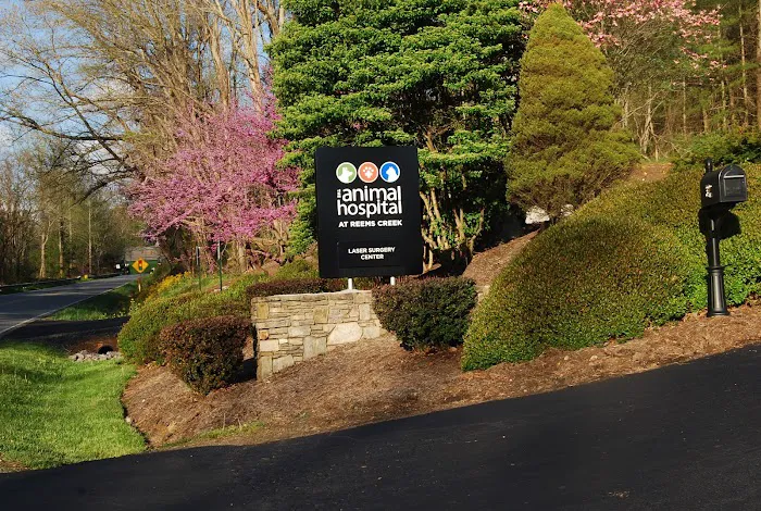 The Animal Hospital at Reems Creek Picture 9