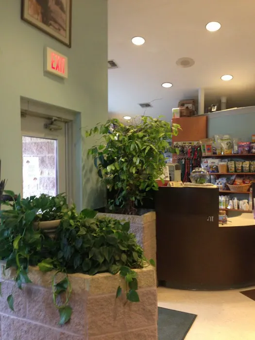 All Pets Animal Hospital & Rehabilitation Center Picture 6