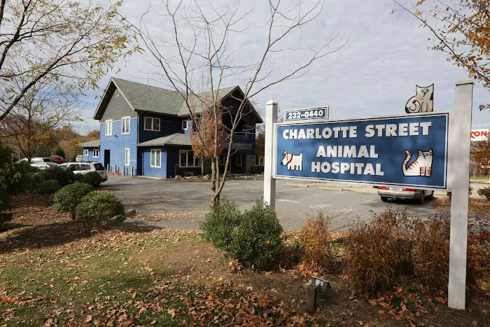 Charlotte Street Animal Hospital Picture 8