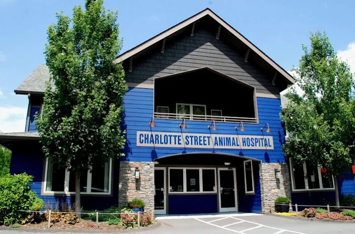 Charlotte Street Animal Hospital Picture 2