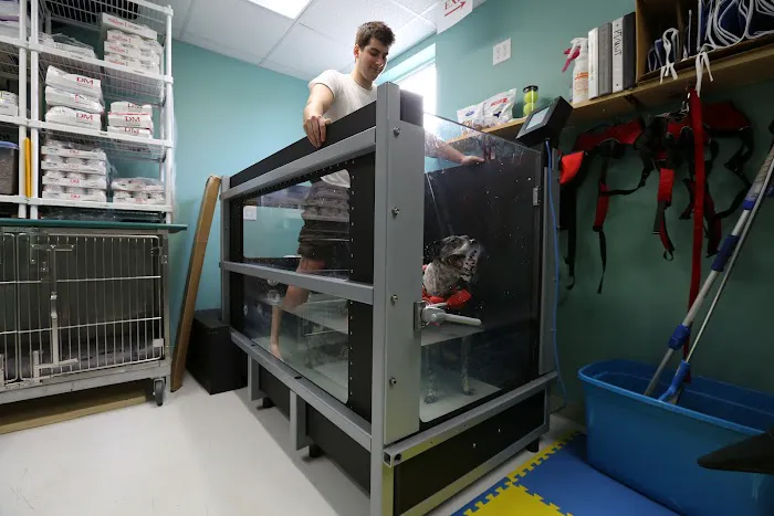 Charlotte Street Animal Hospital Picture 7