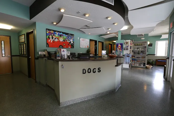 Charlotte Street Animal Hospital Picture 9
