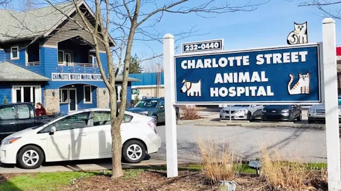 Charlotte Street Animal Hospital Picture 10