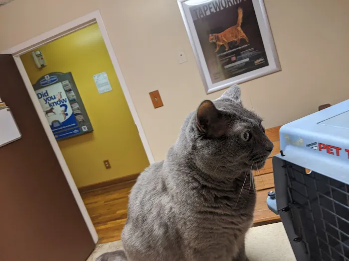 Medicine Man Veterinary Hospital, PLLC Picture 3