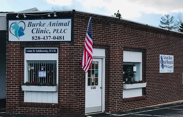 Burke Animal Clinic Picture 10