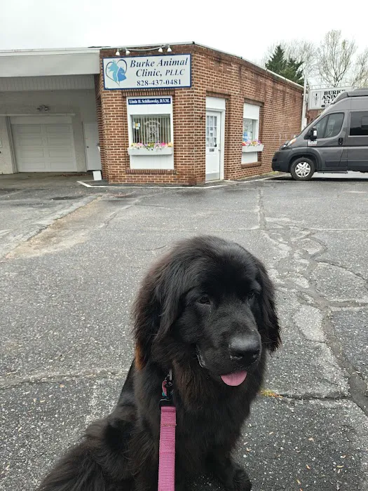 Burke Animal Clinic Picture 1