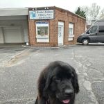 Burke Animal Clinic
