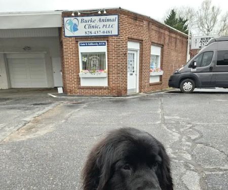 Burke Animal Clinic