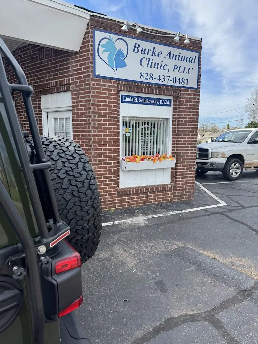 Burke Animal Clinic Picture 7