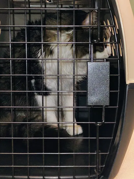 Burke Animal Clinic Picture 5