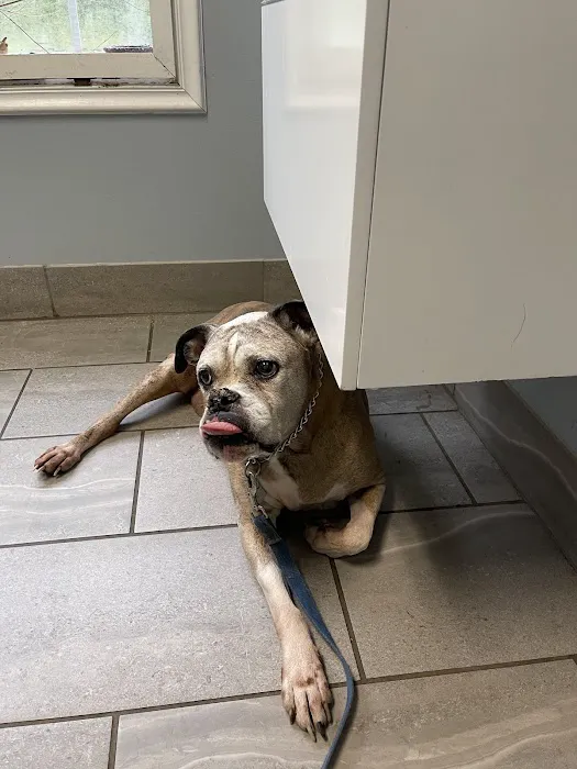 Rutherford Veterinary Hospital Picture 5