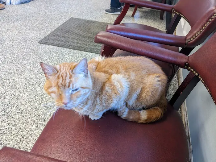 Rutherford Veterinary Hospital Picture 3