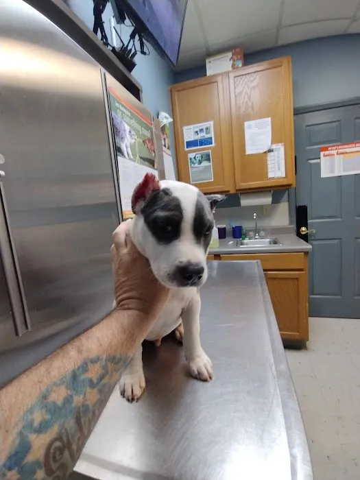 Hinkle's Pet Hospital Picture 4