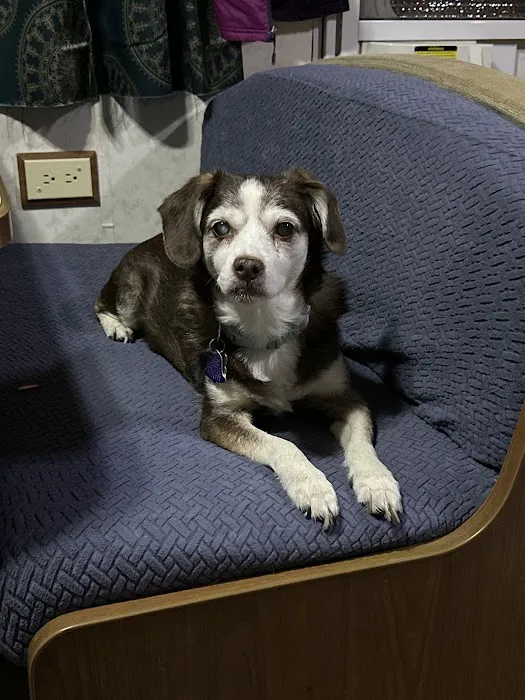 Hinkle's Pet Hospital Picture 6