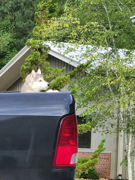 Thunder Road Animal Hospital Picture 9