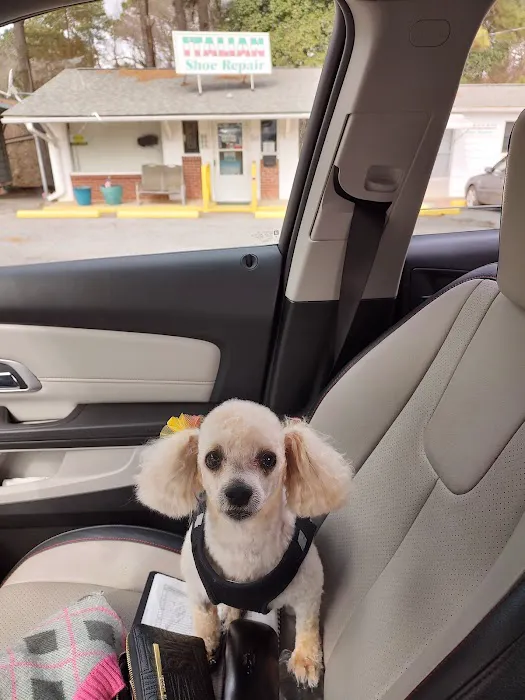 Thunder Road Animal Hospital Picture 8