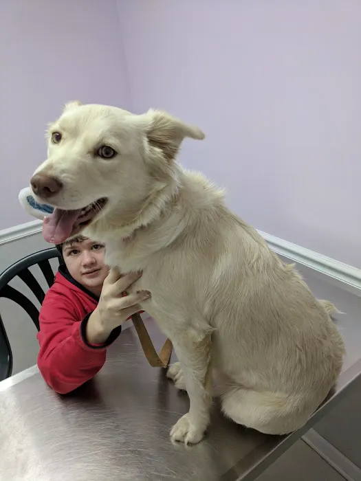 Thunder Road Animal Hospital Picture 7