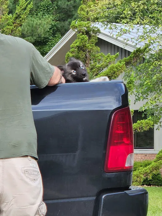 Thunder Road Animal Hospital Picture 5