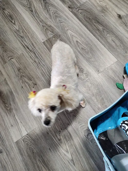 Thunder Road Animal Hospital Picture 6