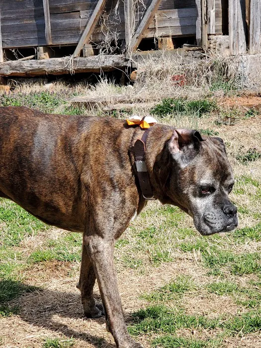 Tri-City Animal Clinic Picture 10