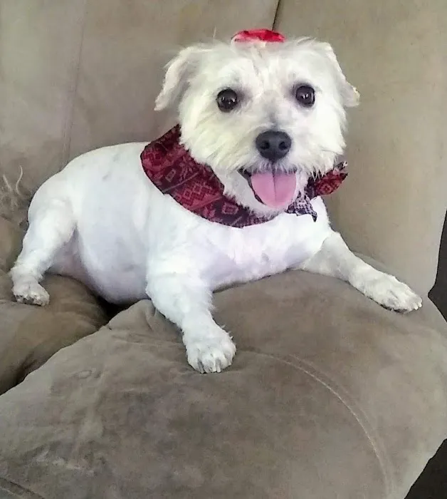 Tri-City Animal Clinic Picture 7