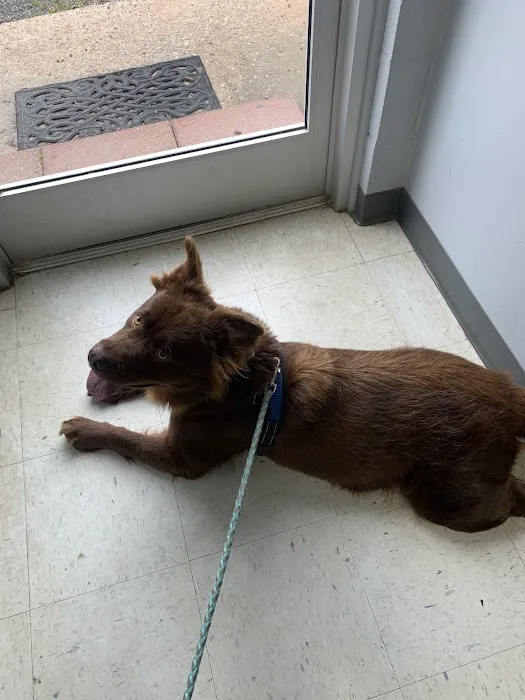 Tri-City Animal Clinic Picture 4