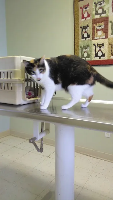 Foothills Animal Clinic Picture 2