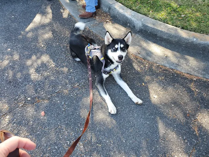 Foothills Animal Clinic Picture 10